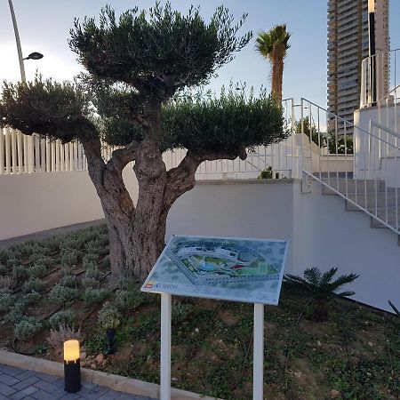 Romero Apartments-Sunset Waves-Μπένιντορμ Εξωτερικό φωτογραφία