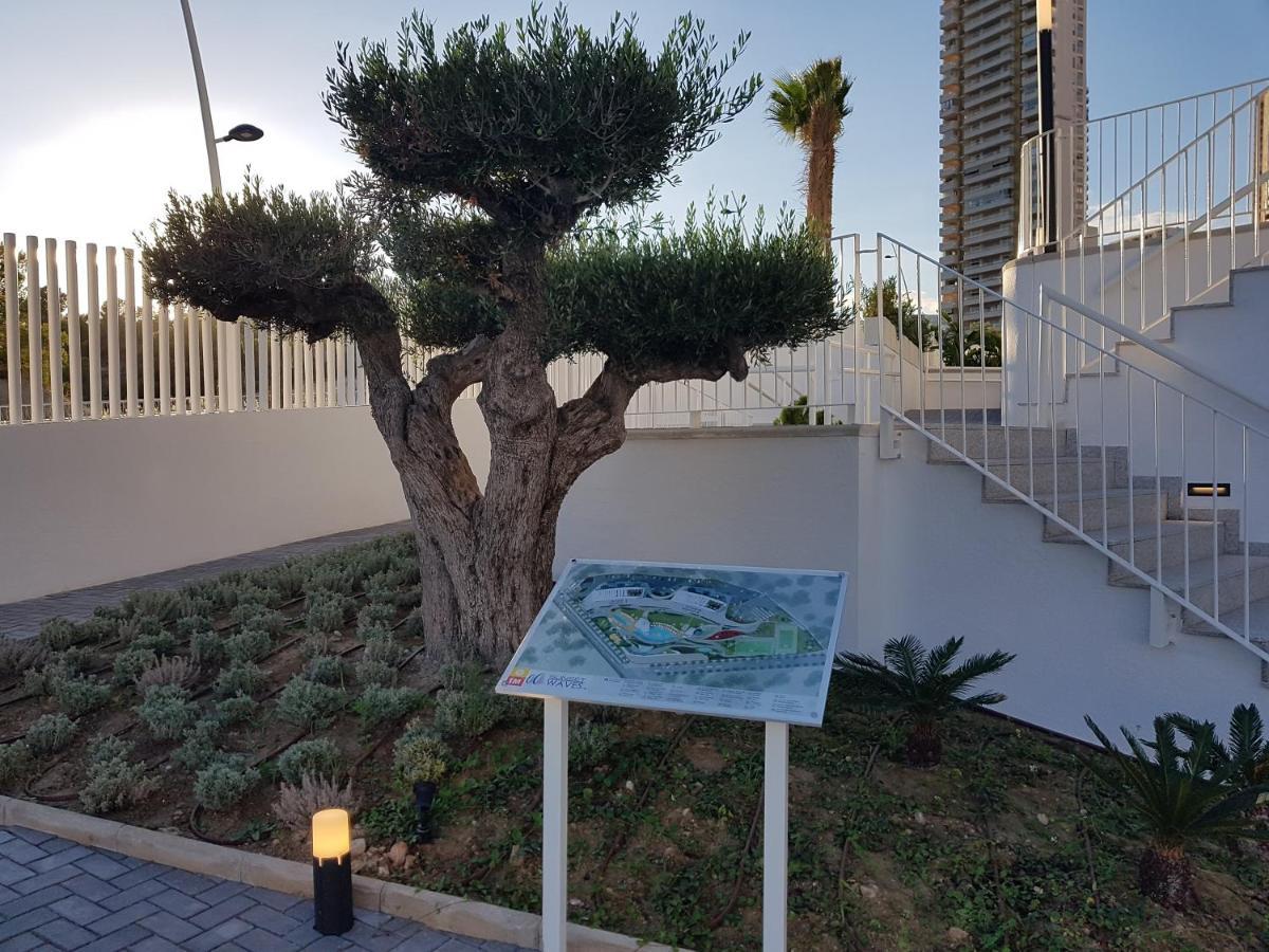 Romero Apartments-Sunset Waves-Μπένιντορμ Εξωτερικό φωτογραφία